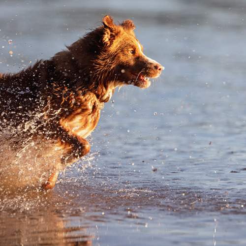 Photo #12447388