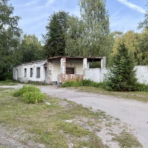 Photo #12447582
