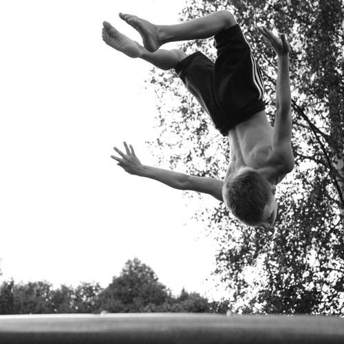 Photo #12447853
