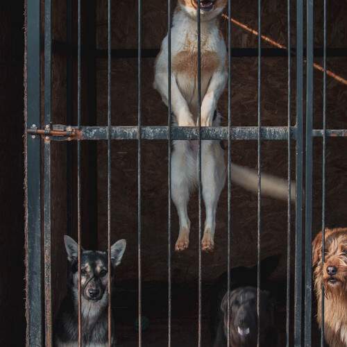 Photo #12448053