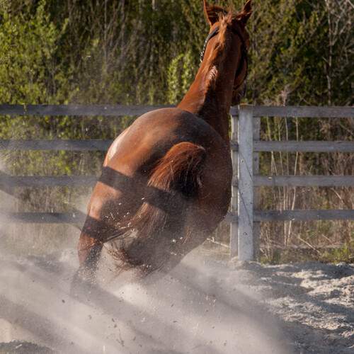 Photo #12448076
