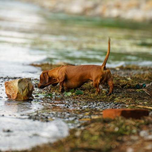 Photo #12448288