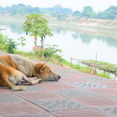 Photo #12448414