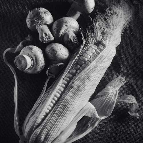 Photo #12448790