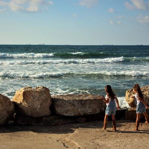 Photo #12448860