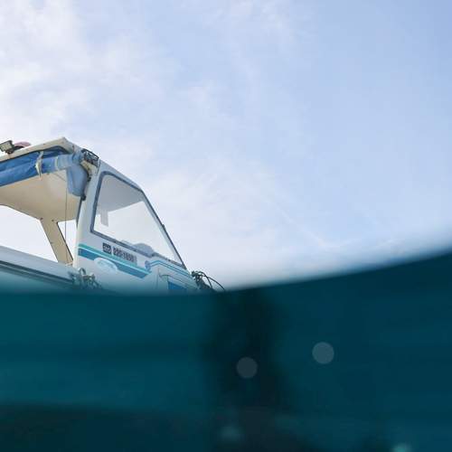 Photo #12449047