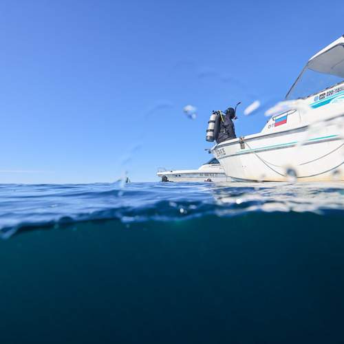 Photo #12449050