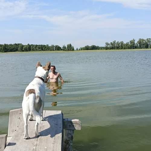 Photo #12449059