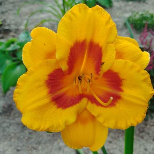 Photo #12449209