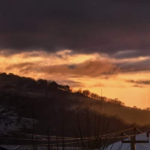 Photo #12449722