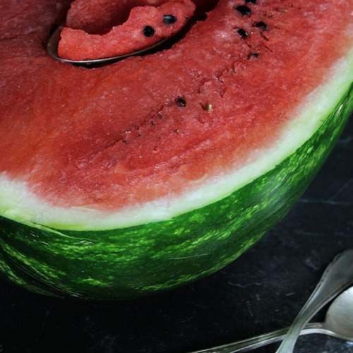 Photo #12449756