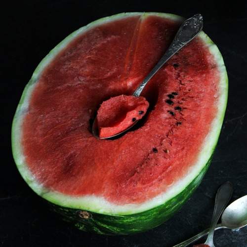 Photo #12449757