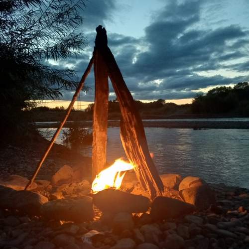Photo #12449759