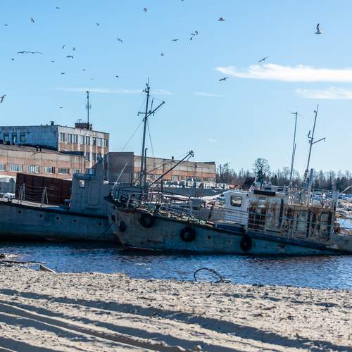 Photo #12449842