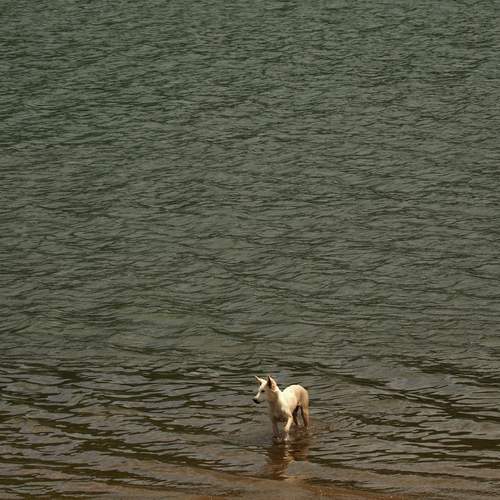 Photo #12450599