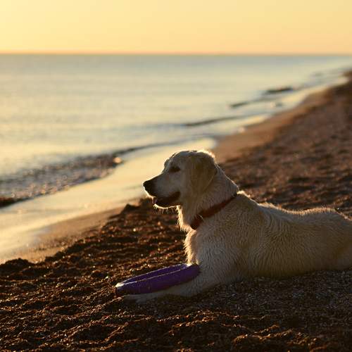 Photo #12450601