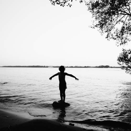 Photo #12450650