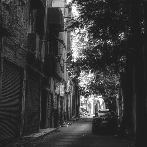 Photo #12450679