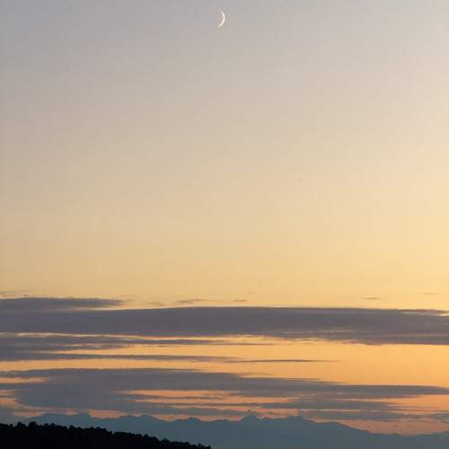 Photo #12450719