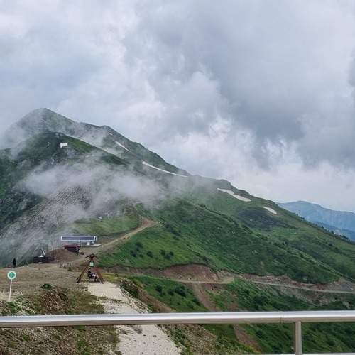 Photo #12451441