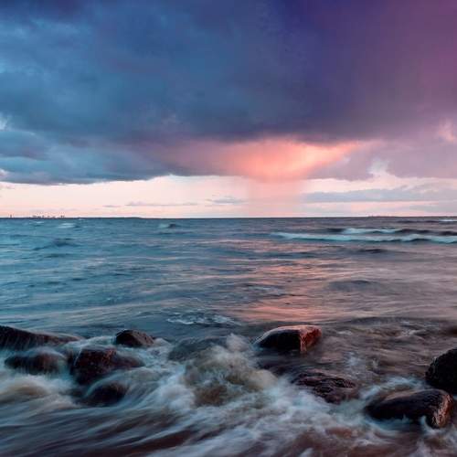 Photo #12451645