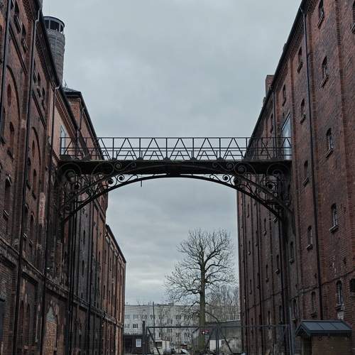 Photo #12452523