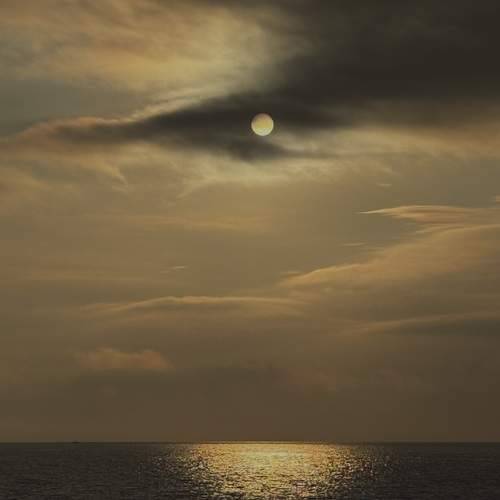 Photo #12452783