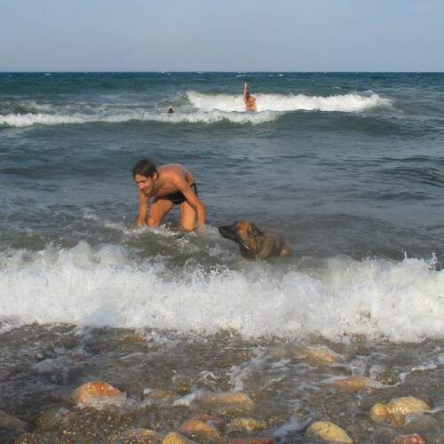 Photo #12452797