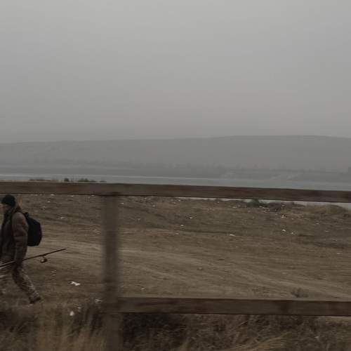 Photo #12452844