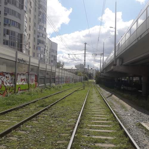 Photo #12452939