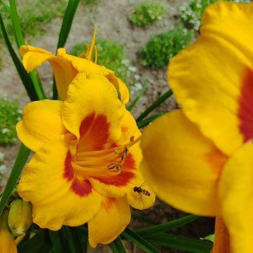 Photo #12453445