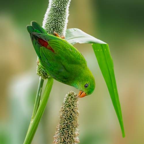Photo #12453584