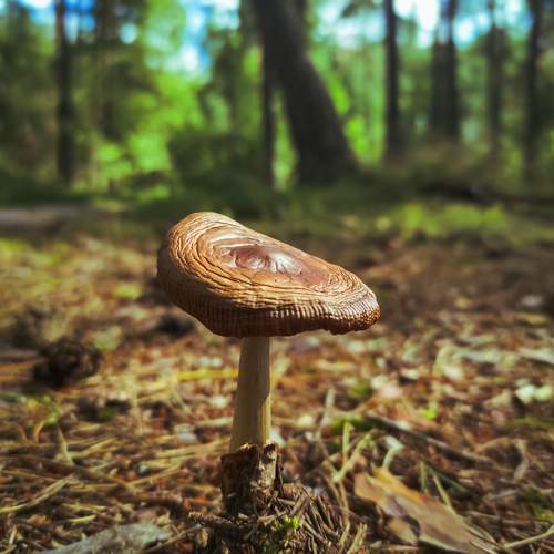 Photo #12453623