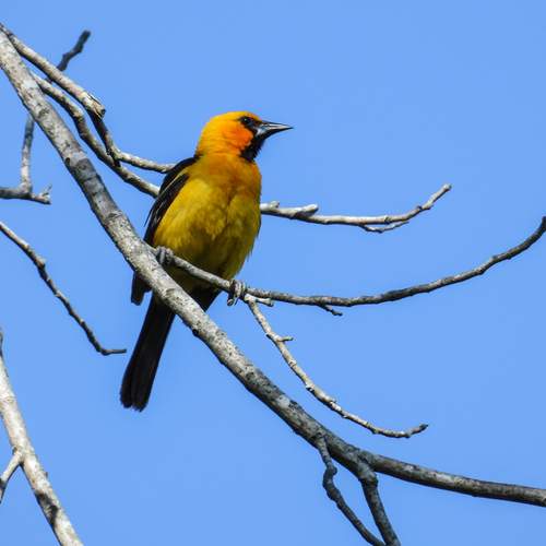 Photo #12453636