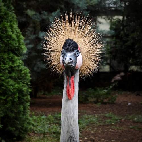 Photo #12453828