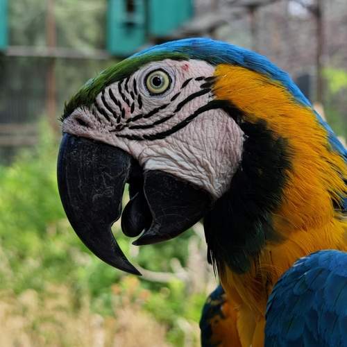 Photo #12453829