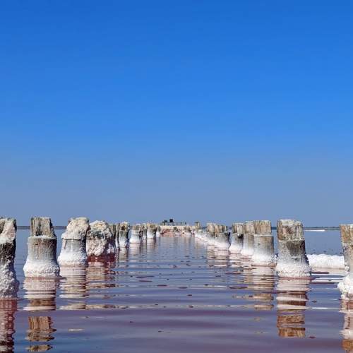 Photo #12453830