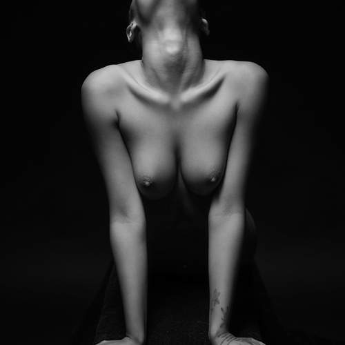 The Weight of Stillness