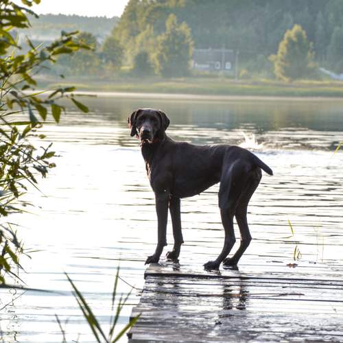 Photo #12454191