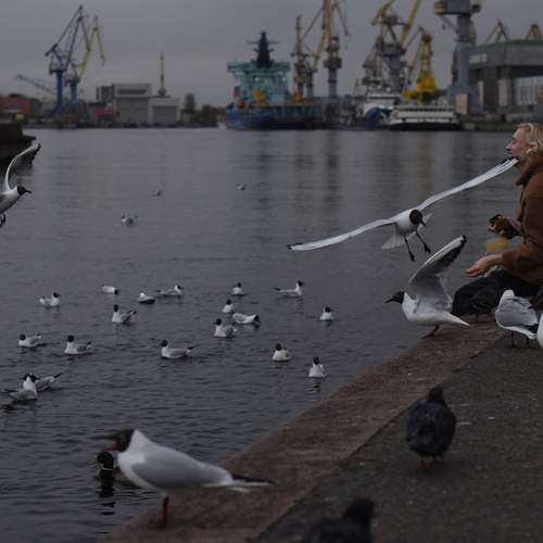 Photo #12454514