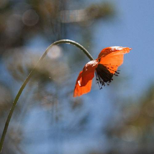 Photo #12454754