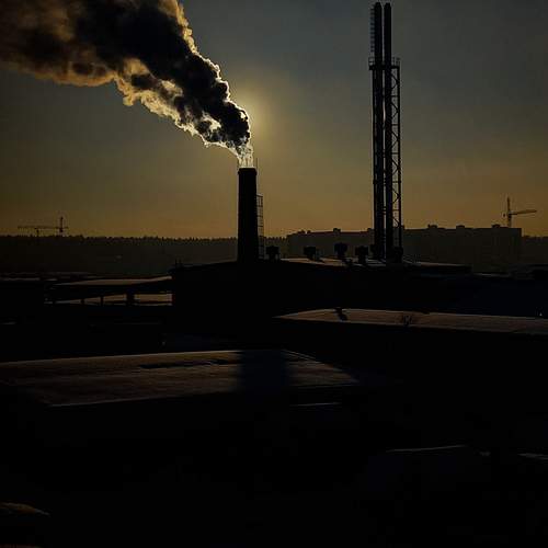 Photo #12455457