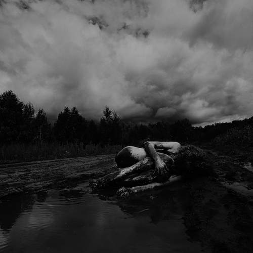 Photo #12456523