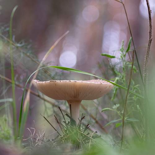 Photo #12456626