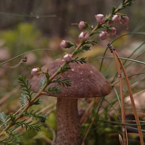 Photo #12456844