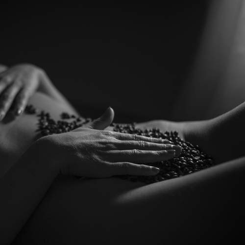 Photo #12456951