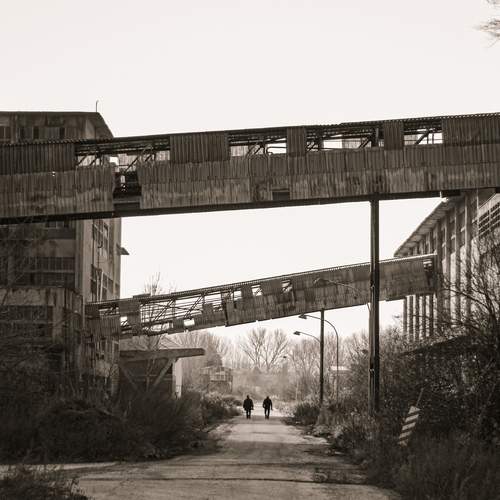 Photo #12457082