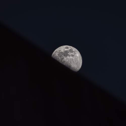 Photo #12457153
