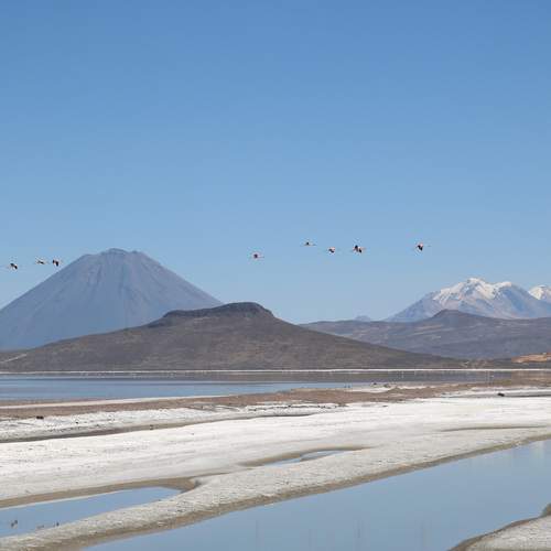 Photo #12457162