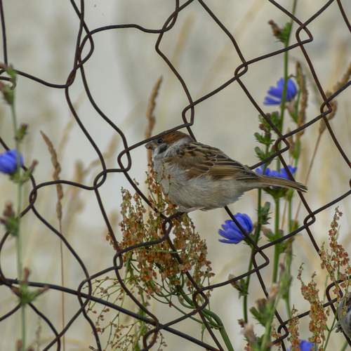 Photo #12457218